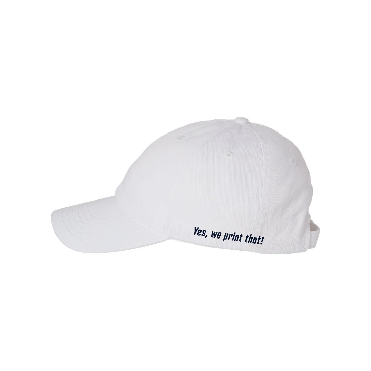 Single Source Valucap Bio-Washed Classic Dad Hat